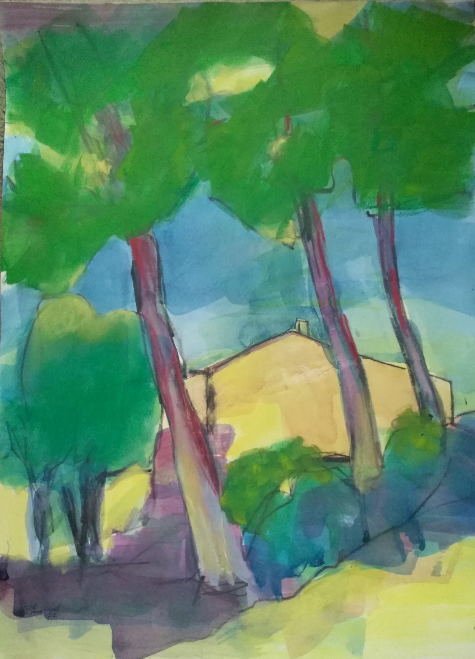 Bäume in der Provence