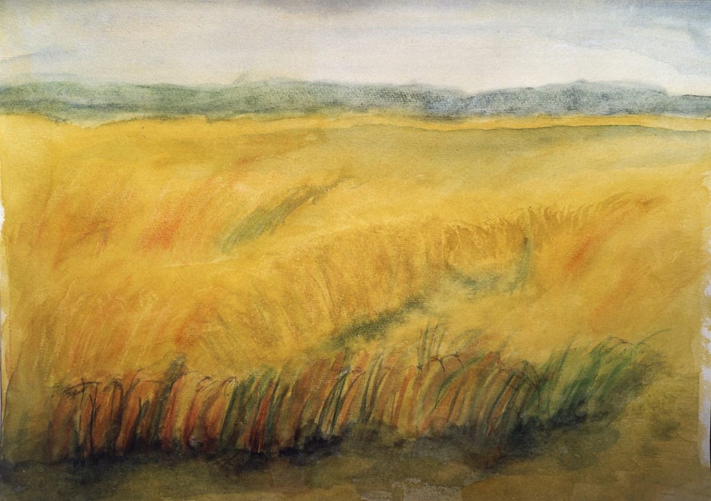 Feld in Bayern